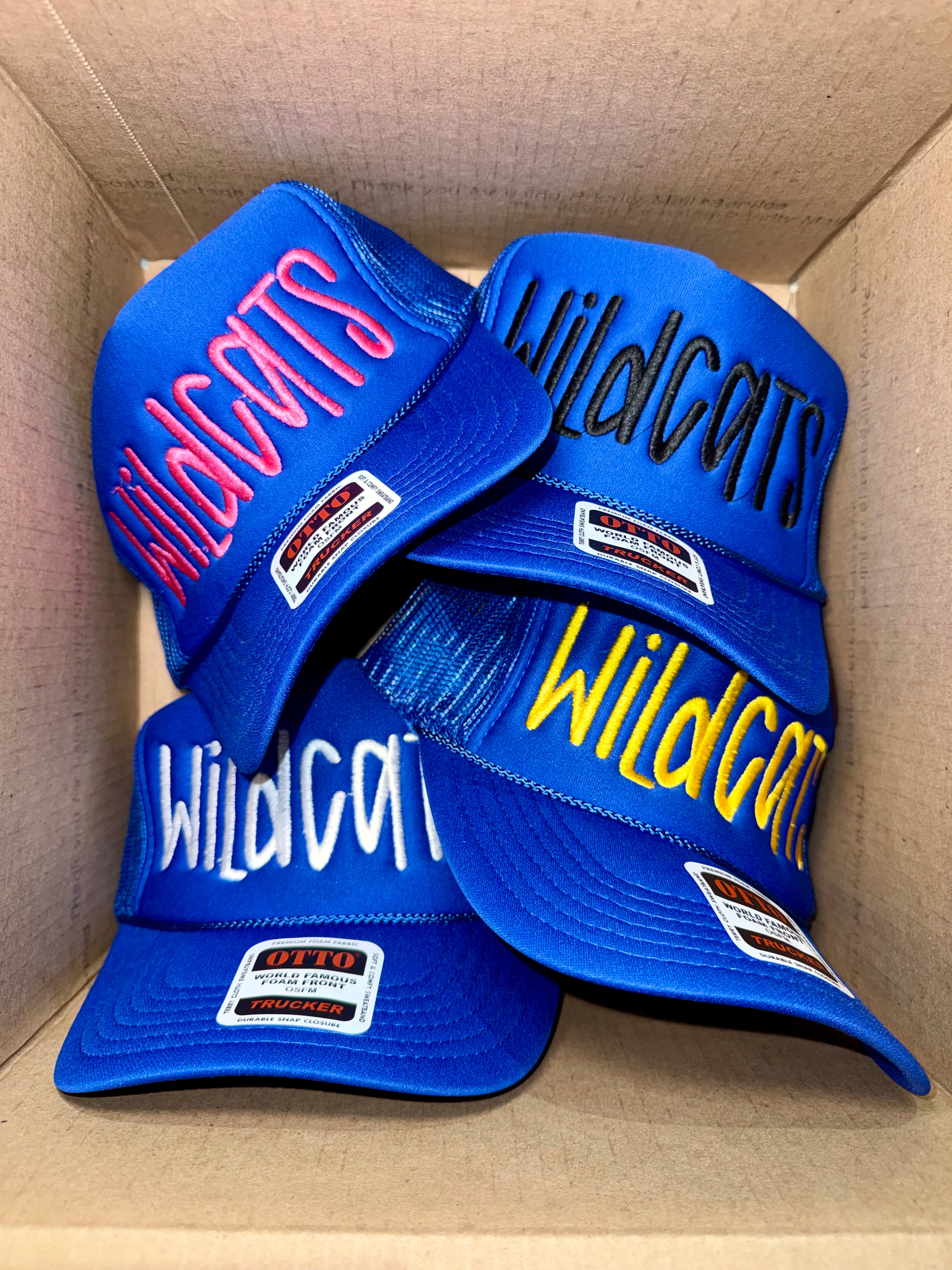 Wildcats Hat