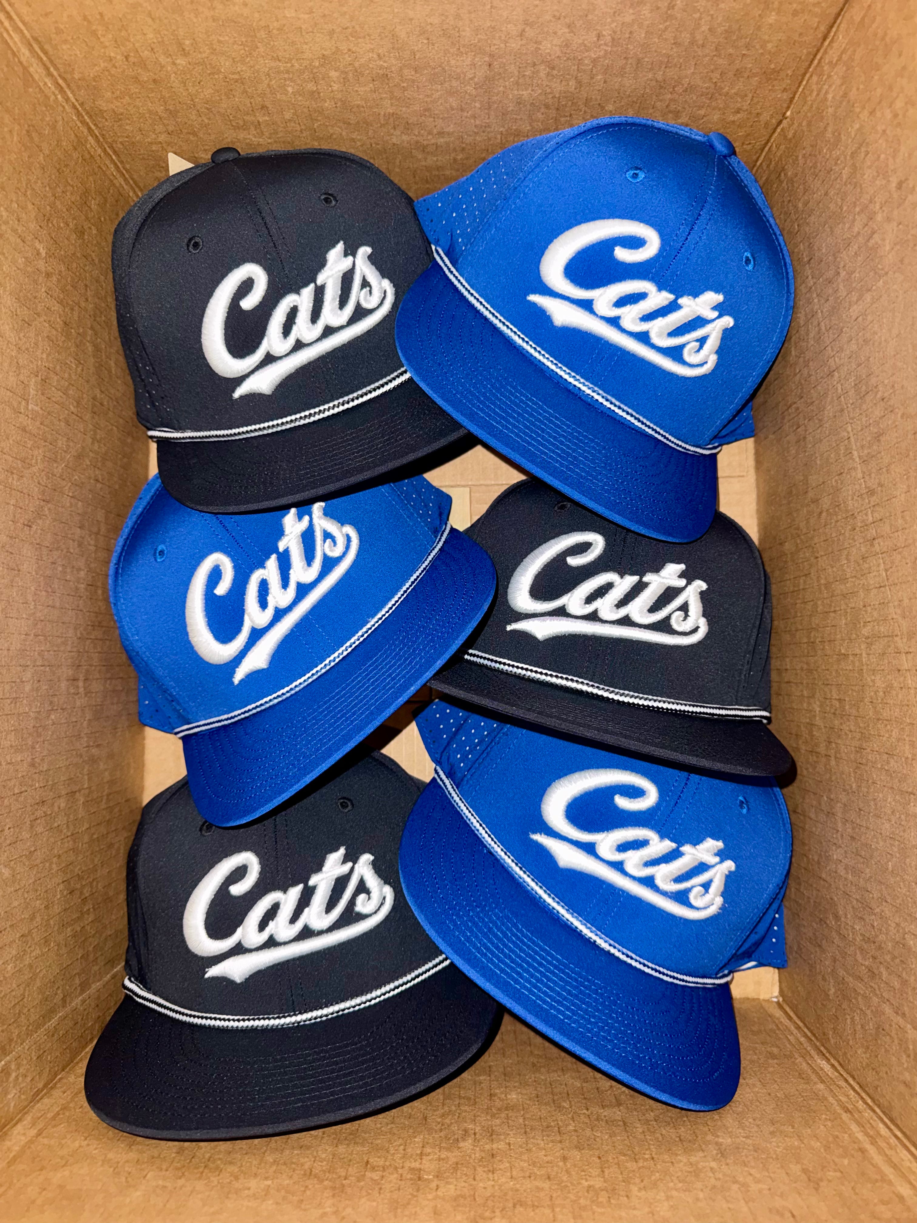 Cursive Cats Hat